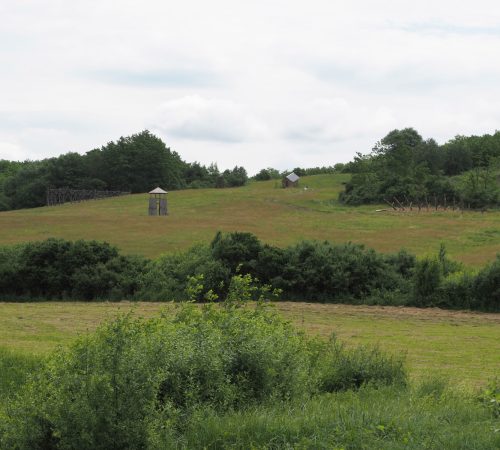 Spine-Chrbtica_navrh-a-realizacia-pre-festival-Field-of-Sprks-na-temu-survival_01