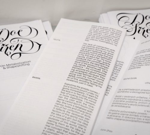 Adam-Morong_02.Michaela_Prableskova_Doe_vs_Siren_Brochure