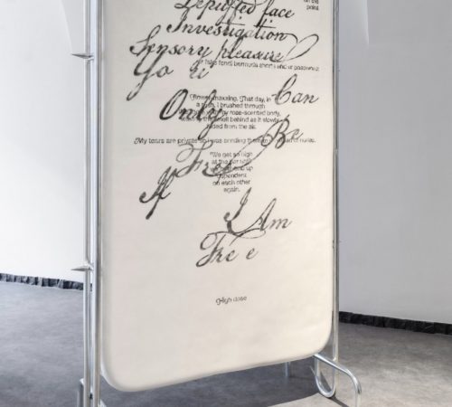 Adam-Morong_06.Leontina_Berkova_Swarming_Tongues