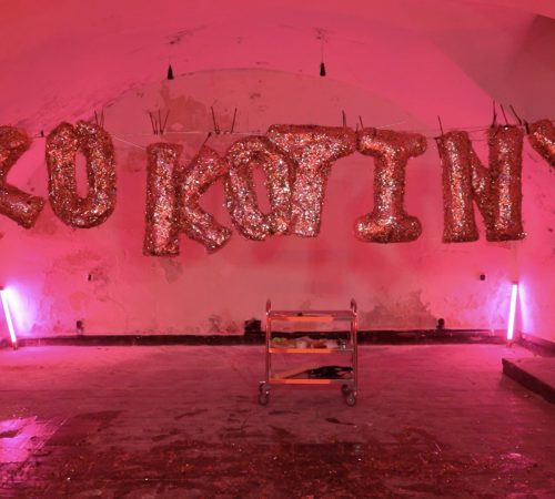 Bianka-Ezsolova_08_KOKOTINY