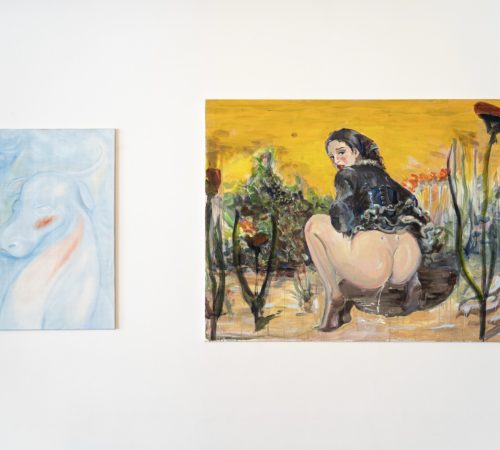 Dajana-Hrossova_23_Z-archivu-galerie-WhiteWeiss-vystava-_Oh-my-God-she-got-the-power-Well-look-at-her-she-got-the-power.JPG