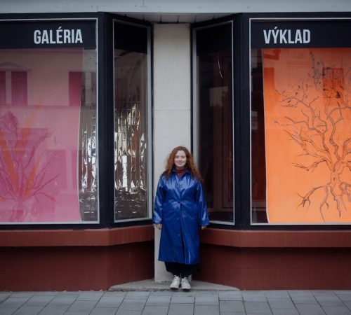 Kanobalizmus-2018–2023-Erika-Meszarosova_Galeeria-Vyklad_2