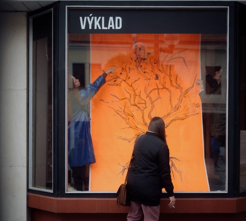 Kanobalizmus-2018–2023-Erika-Meszarosova_Galeeria-Vyklad_5