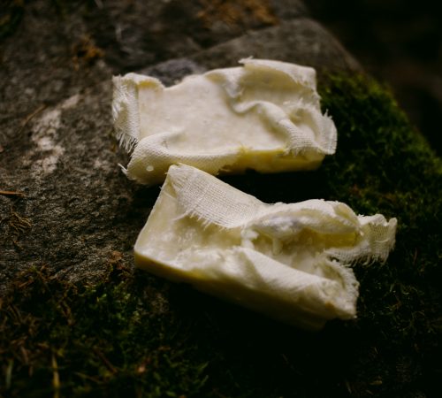 Kopie-souboru-IMG_2139-2