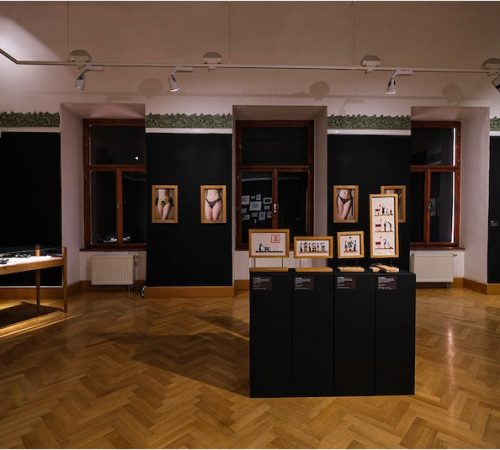 Miesto-mojich-dier-2020-Erika-Meszarosova-Nitrianska-galeria-vystava-FOLK-LORE_0