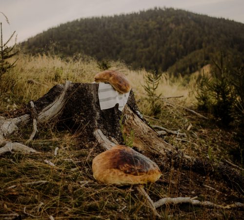 Zeny-v-SNP_-Efemerny-pamatnik-Pavlina-Dubenova_7