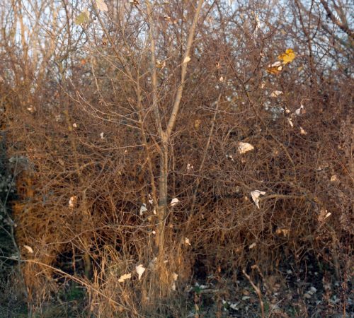 Eva-Takacsova_08_Utopia_analogova_fotografia_2019