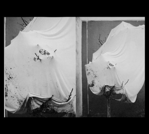 kill your darlings  – kópia - 3