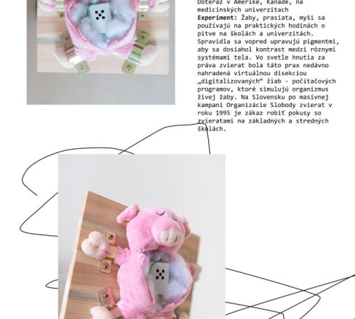 Kasha-Potrohosh_17_Pokusy-na-robozvieratach-textil-ready-made-interactive-objects-foto-Nin-Pacherova