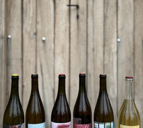 Katarina-Rybnicka_25_Vino-Trenkler-foto-Barbora-Bacova_01
