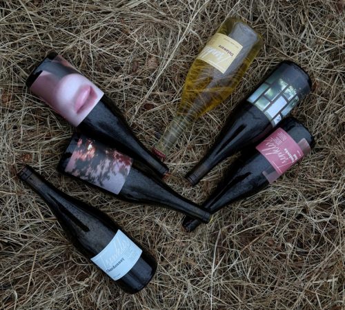 Katarina-Rybnicka_26_Vino-Trenkler-foto-Barbora-Bacova_02