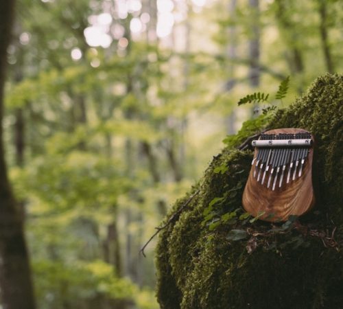 Marek-Bolf-Bolf-Kalimbas_06_Kalimba-foto-Jan-Bacak