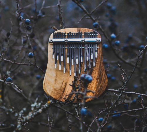 Marek-Bolf-Bolf-Kalimbas_11_Kalimba-Olea-foto-Jan-Bacak