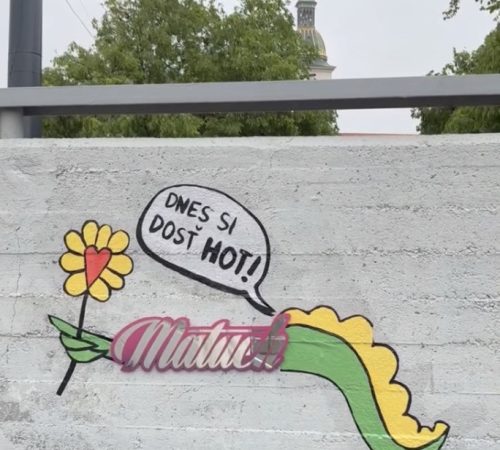 Matuch_16_Zrkadlo-collab-A-TY-CHUJE