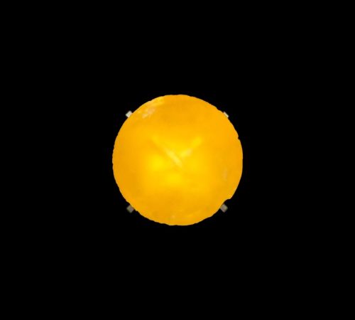 Mia-Copikova_26_Ungroup-Group-–-Telescope-brosna-foto-Viki-Kollerova