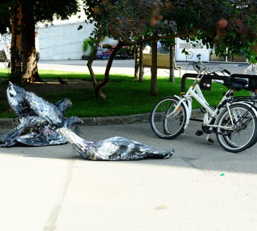 Oksana-Sadovenko_10_Diplomova-praca-Pigeonland-2024-Kamenne-namestie-foto-Peter-Kmet-@delightfulclick_02