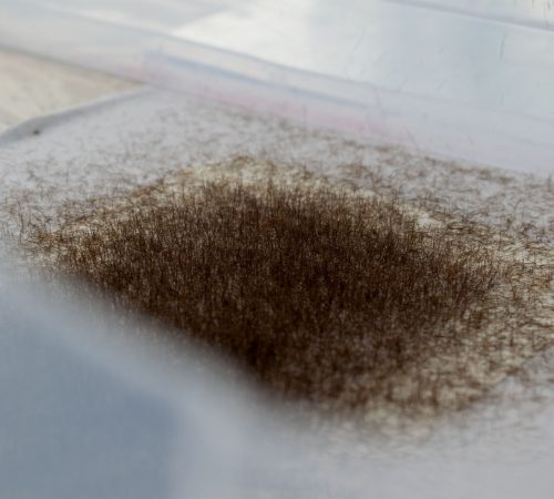 Petra-Vicenova_07_Hairy-Matter-v-spolupraci-s-Carlotta-Sanna-@carliiotta