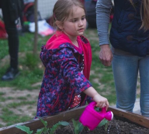 Sandra-Stasselova_12_VNUTROBLOK-–-Karpatska-2016_03