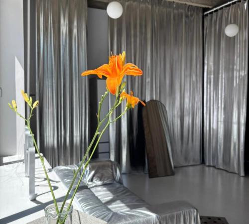 Silvia-Frohlich-Zrebna_13-Iron-Atelier_OPENINGIRON