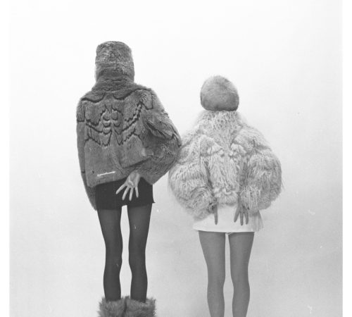 Studio-413_4.1-dorsalia