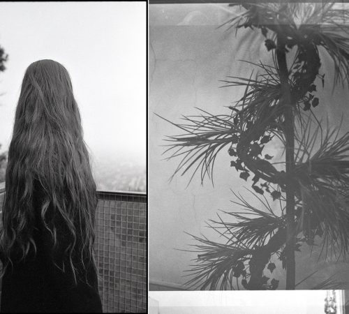 Tatiana-Takacova_15_Botanic-research