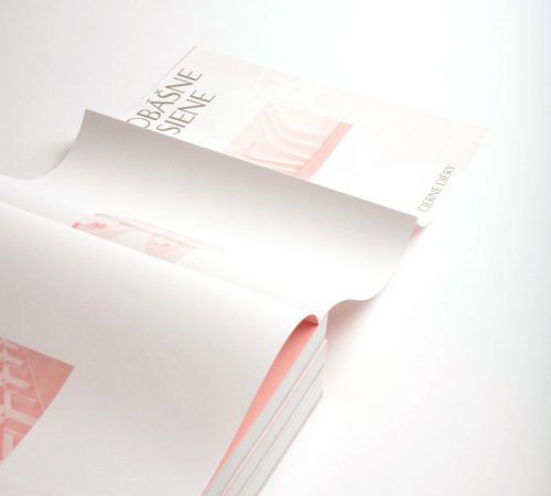 Terezia-Denkova_13_Sobasne-siene